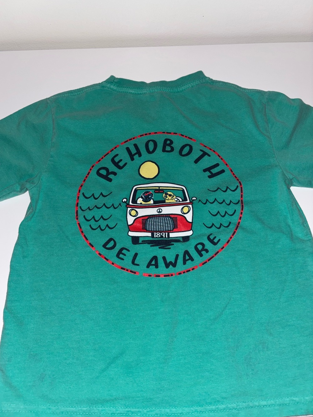 Blue 84 Teal Rehobeth Volkswagen dog kids xs 4-5 size teeshirt